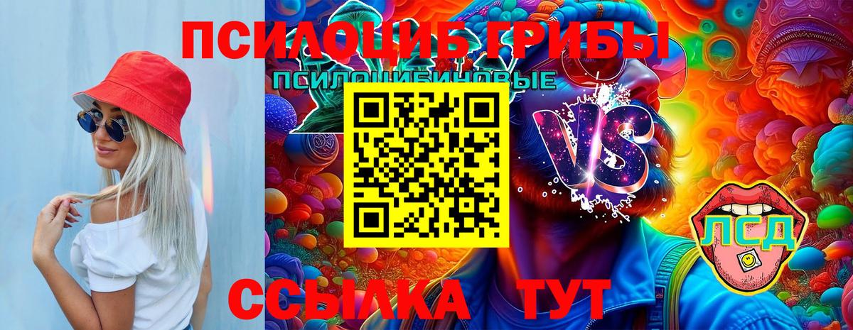 Галлюциногенные грибы Magic Shrooms Черногорск